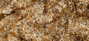 Close up photo of sparkling gold sequinned fabric
