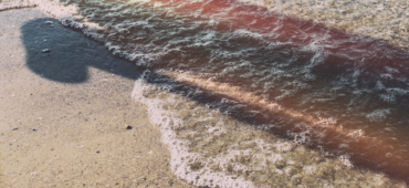 Photo of an abstract shadow stretching out across a lapping wave