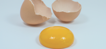 Both halves of a cracked egg shell with a yolk between them. The yolk is in the foreground of the image.
