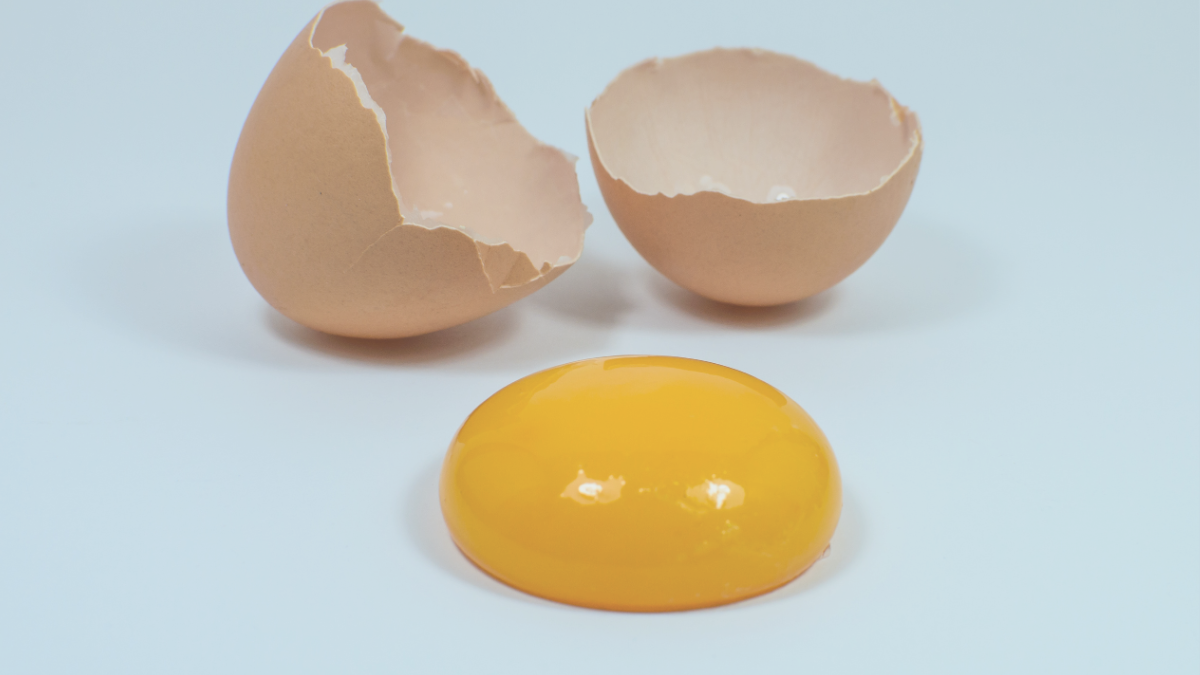 Both halves of a cracked egg shell with a yolk between them. The yolk is in the foreground of the image.