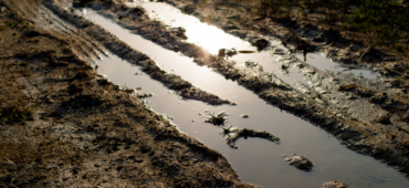 Sun reflecting off a puddle of water in a muddy field.