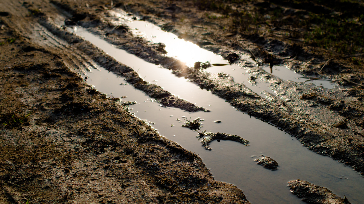 Sun reflecting off a puddle of water in a muddy field.