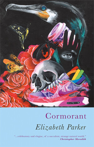 This cover shows a graphic painting of a black cormorant surrounded by unusual colourful objects like a vibrant trainer, skull and blooming roses. The text reads: Cormorant. Elizabeth Parker.