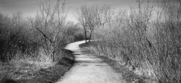 Black and white photo of an empty path