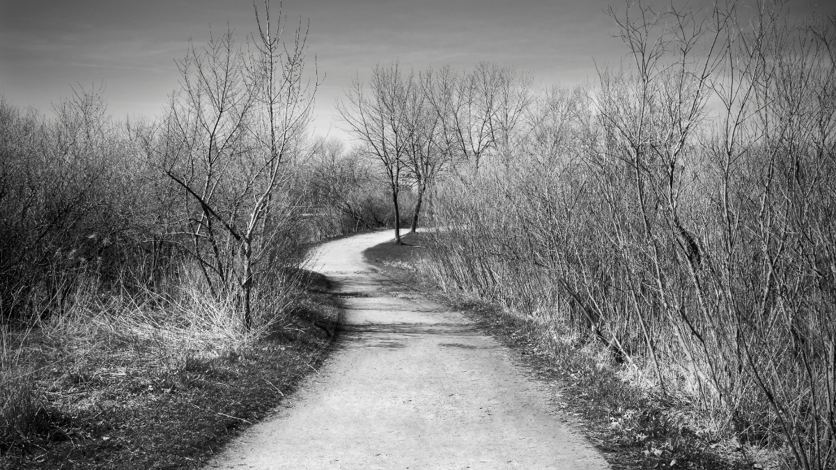 Black and white photo of an empty path