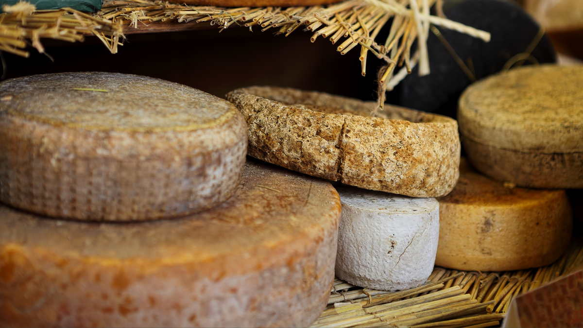 Wheels of cheese sitting on a larder shelf.