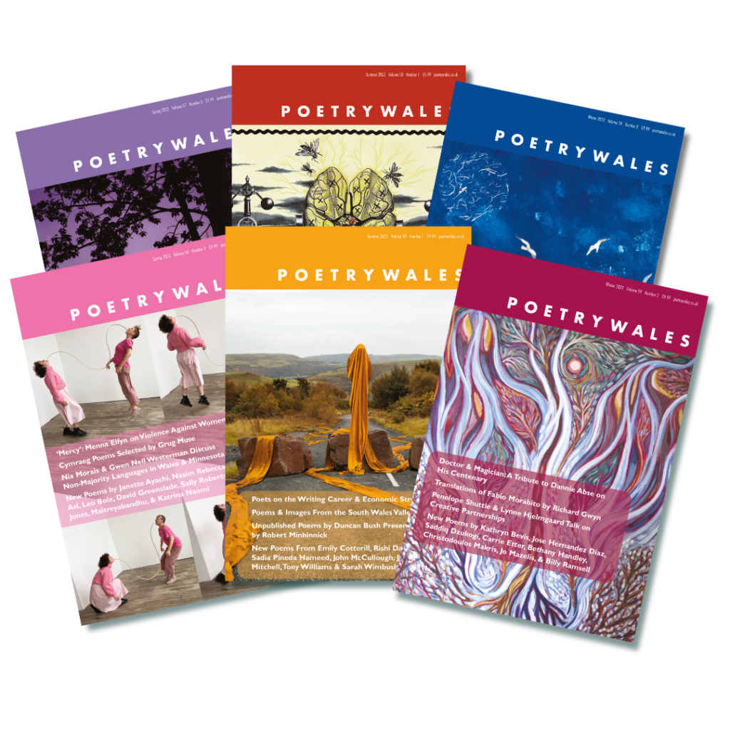 Six colourful Poetry Wales issues overlap each other. The three most recent issues are in the foreground.