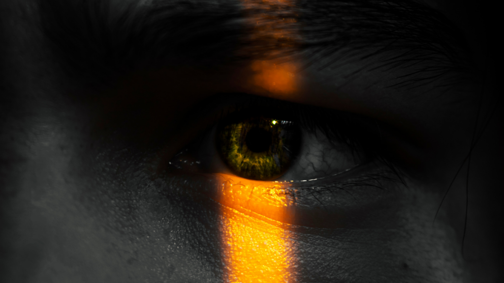 Close up photograph of a person's eye. The majority of their face is in darkness other than the iris which is illuminated by a vertical strip of light.