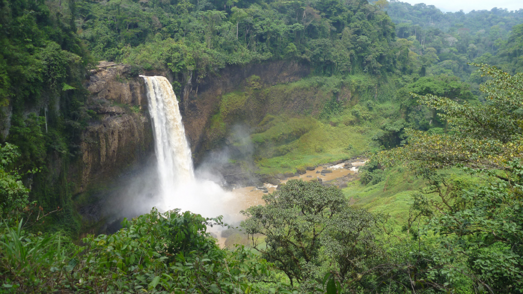 Photograph of a gushing waterfall surrounded by green forests