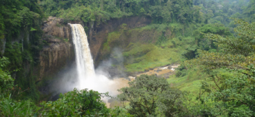 Photograph of a gushing waterfall surrounded by green forests