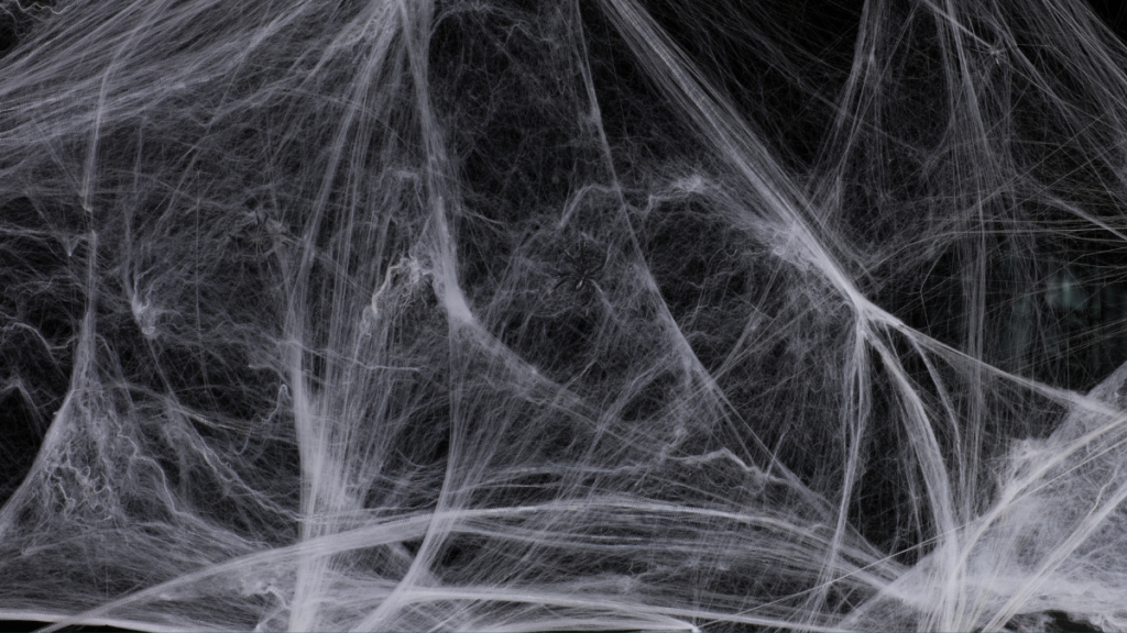 Photograph of dense cobwebs