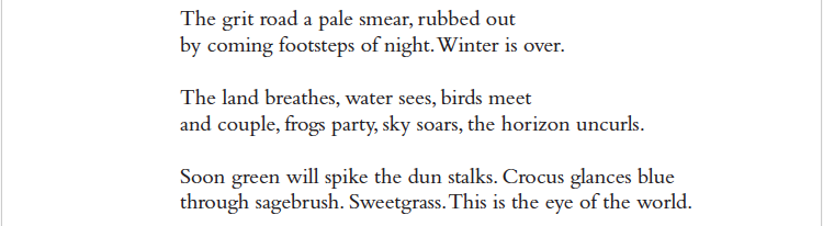 The grit road a pale smear, rubbed out
by coming footsteps of night. Winter is over.
The land breathes, water sees, birds meet
and couple, frogs party, sky soars, the horizon uncurls.
Soon green will spike the dun stalks. Crocus glances blue
through sagebrush. Sweetgrass. This is the eye of the world.