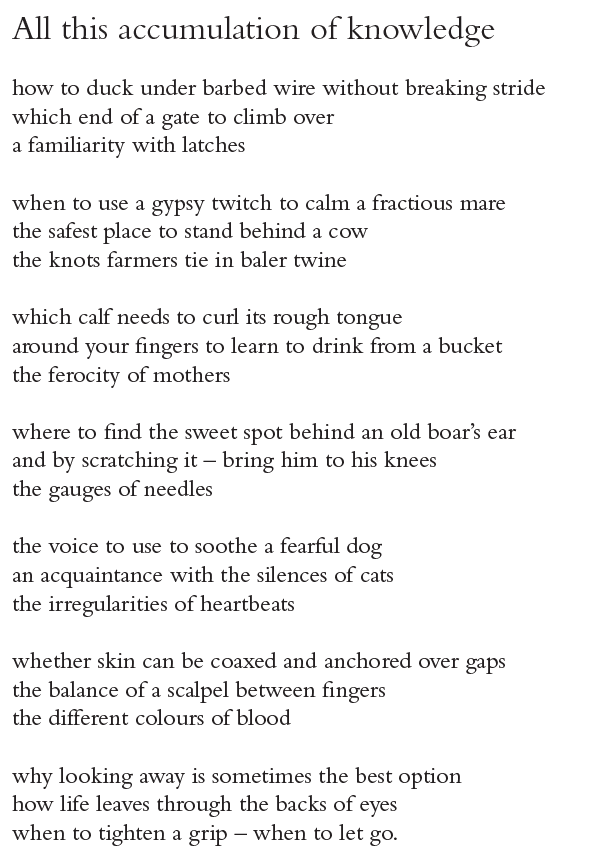 All this accumulation of knowledge
how to duck under barbed wire without breaking stride
which end of a gate to climb over
a familiarity with latches
when to use a gypsy twitch to calm a fractious mare
the safest place to stand behind a cow
the knots farmers tie in baler twine
which calf needs to curl its rough tongue
around your fingers to learn to drink from a bucket
the ferocity of mothers
where to find the sweet spot behind an old boar’s ear
and by scratching it – bring him to his knees
the gauges of needles
the voice to use to soothe a fearful dog
an acquaintance with the silences of cats
the irregularities of heartbeats
whether skin can be coaxed and anchored over gaps
the balance of a scalpel between fingers
the different colours of blood
why looking away is sometimes the best option
how life leaves through the backs of eyes
when to tighten a grip – when to let go.