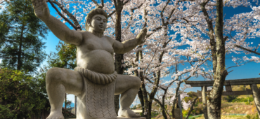 Photo of a stone statue depicting a Sumo wrestler beneath a flowering blossom tree.