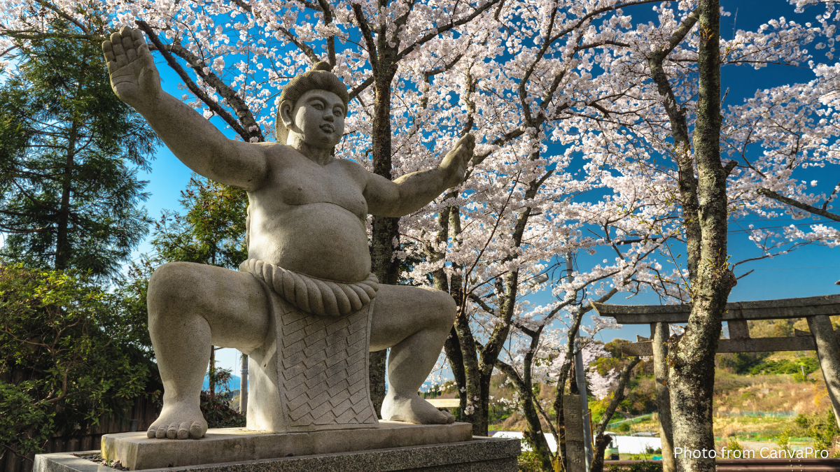 Photo of a stone statue depicting a Sumo wrestler beneath a flowering blossom tree.