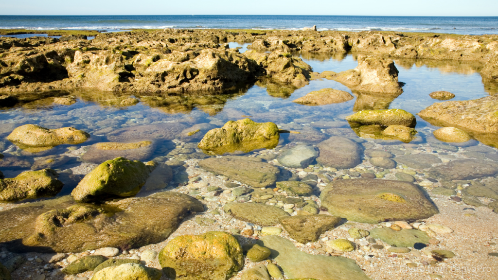Rock pools lit by the sun