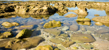 Rock pools lit by the sun
