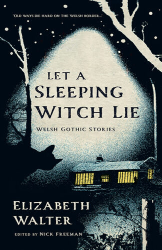 This cover shows a spooky illustration of a lonely bungalow beneath an empty night sky. The text reads: Let a Sleeping Witch Lie: Welsh Gothic Stories by Elizabeth Walter