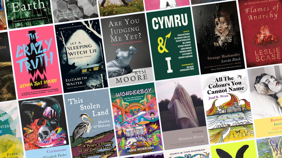 Graphic showing lots of Seren book covers in a grid