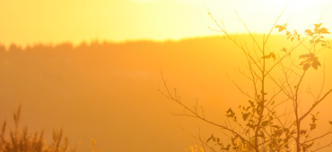 Photo of a golden hour sun setting over distant hazy hills.