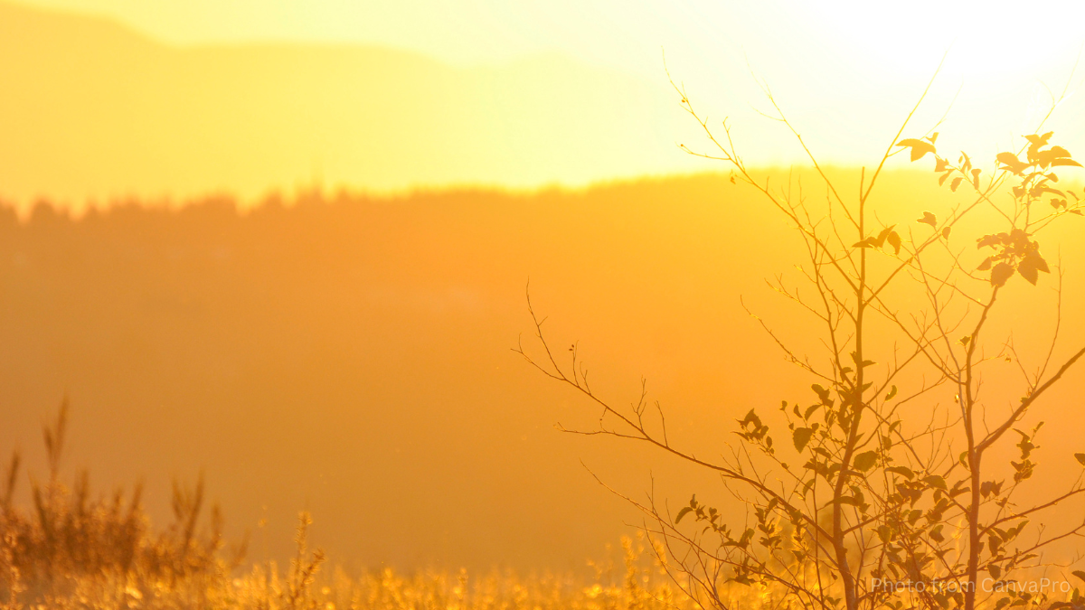Photo of a golden hour sun setting over distant hazy hills.