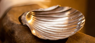 Close up photo of a silver shell.