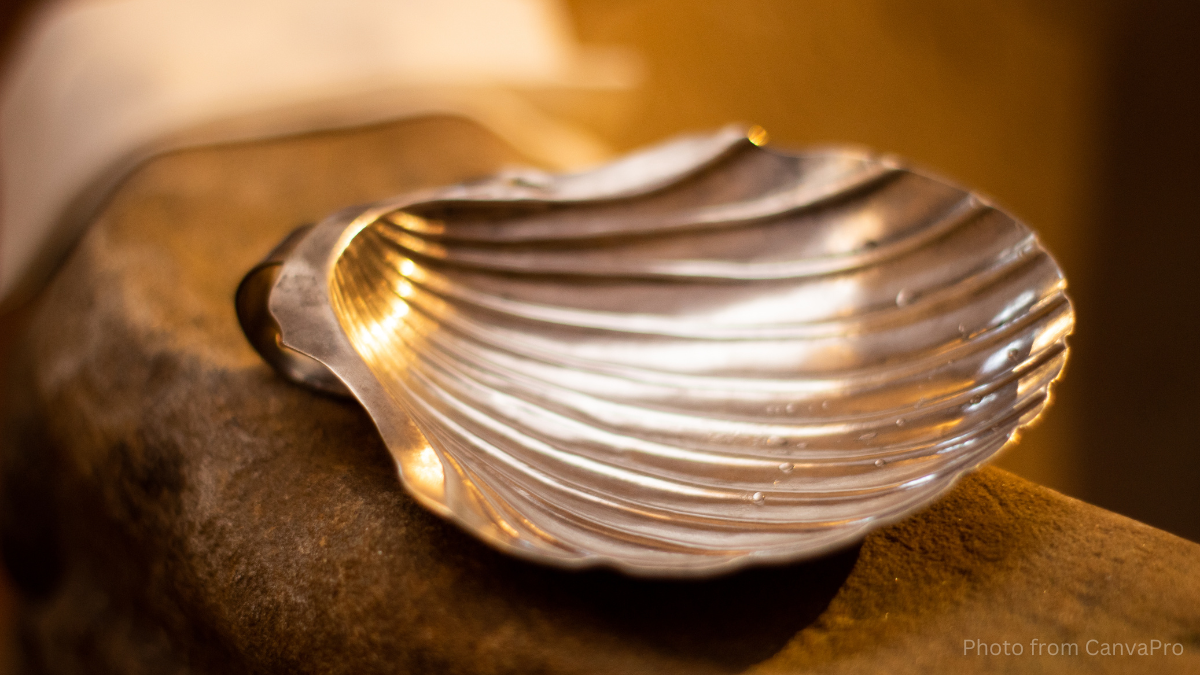 Close up photo of a silver shell.