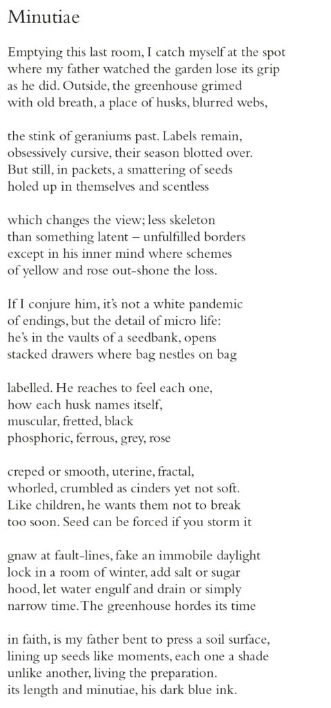 Minutiae Emptying this last room, I catch myself at the spot where my father watched the garden lose its grip as he did. Outside, the greenhouse grimed with old breath, a place of husks, blurred webs, the stink of geraniums past. Labels remain, obsessively cursive, their season blotted over. But still, in packets, a smattering of seeds holed up in themselves and scentless which changes the view; less skeleton than something latent – unfulfilled borders except in his inner mind where schemes of yellow and rose out-shone the loss. If I conjure him, it’s not a white pandemic of endings, but the detail of micro life: he’s in the vaults of a seedbank, opens stacked drawers where bag nestles on bag labelled. He reaches to feel each one, how each husk names itself, muscular, fretted, black phosphoric, ferrous, grey, rose creped or smooth, uterine, fractal, whorled, crumbled as cinders yet not soft. Like children, he wants them not to break too soon. Seed can be forced if you storm it gnaw at fault-lines, fake an immobile daylight lock in a room of winter, add salt or sugar hood, let water engulf and drain or simply narrow time.The greenhouse hordes its time in faith, is my father bent to press a soil surface, lining up seeds like moments, each one a shade unlike another, living the preparation. its length and minutiae, his dark blue ink.