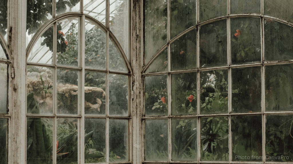Photo of an old greenhouse with faded paint and smudged windows.