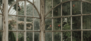 Photo of an old greenhouse with faded paint and smudged windows.