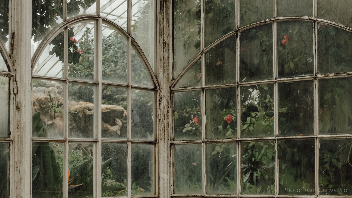 Photo of an old greenhouse with faded paint and smudged windows.