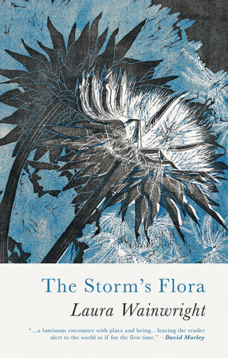 This cover shows a lino cut print of a jagged seed head bursting against a blue sky. The text reads: The Storm's Flora, Laura Wainwright