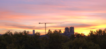 Photo of a pink-orange sunset over the trees and rooftops of Paris, Notre-Dame and its cranes just visible on the horizon.
