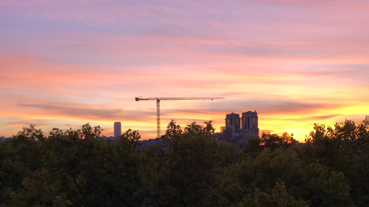 Photo of a pink-orange sunset over the trees and rooftops of Paris, Notre-Dame and its cranes just visible on the horizon.