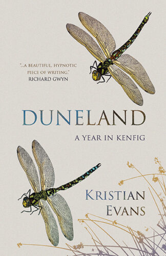 This cover shows two illustrated dragonflies swopping over a sandy background. The text reads: Duneland: A Year in Kenfig, Kristian Evans