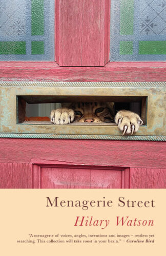 This cover shows a photo of a cat clawing at the camera through the letterbox of a pink door. The text reads: Menagerie Street, Hilary Watson