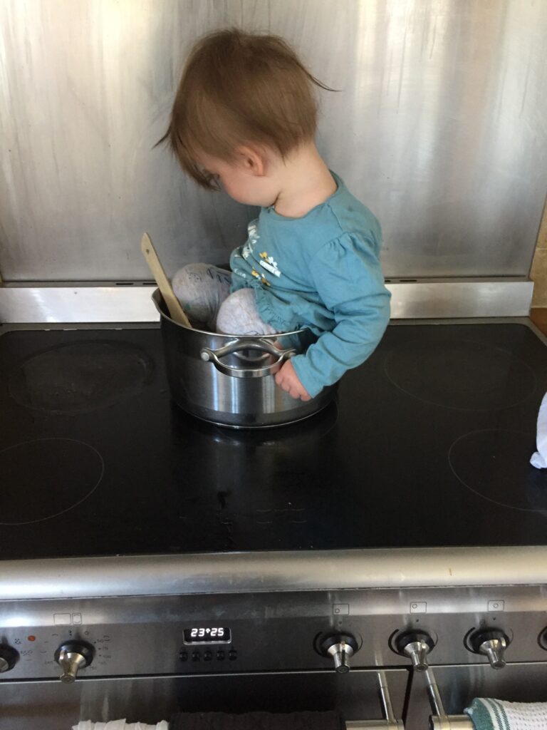 Photo of 'Elsa' sitting in a pan
