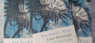 Copies of The Storms Flora laid out against a white marble-effect background.